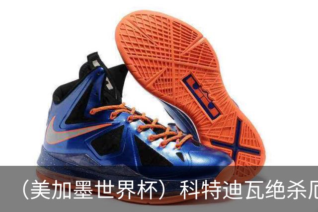 （美加墨世界杯）科特迪瓦绝杀厄瓜多尔 瑞典5:1大胜突尼斯